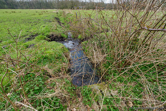 Beken rondom Elspeet 310320-285