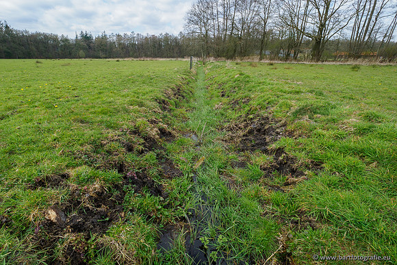 Beken rondom Elspeet 310320-288