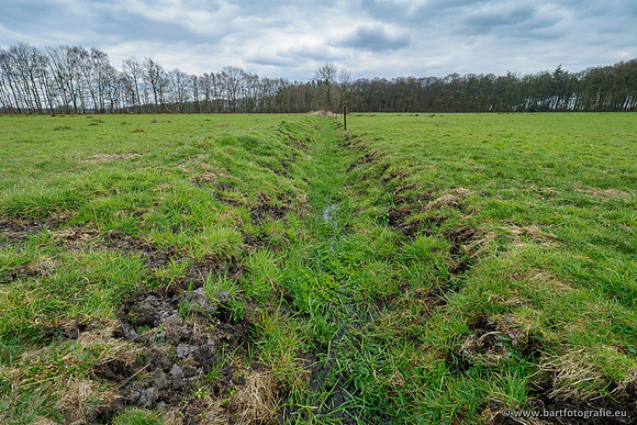 Beken rondom Elspeet 310320-289