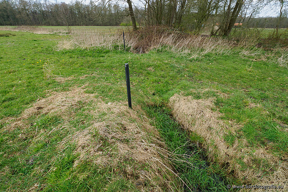 Beken rondom Elspeet 310320-290