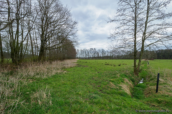 Beken rondom Elspeet 310320-291