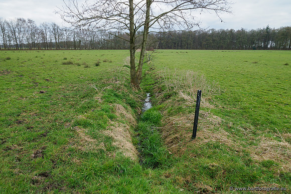 Beken rondom Elspeet 310320-292