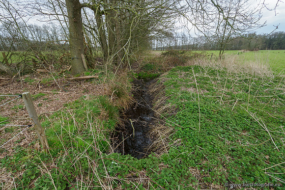 Beken rondom Elspeet 310320-294