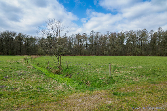 Beken rondom Elspeet 310320-300