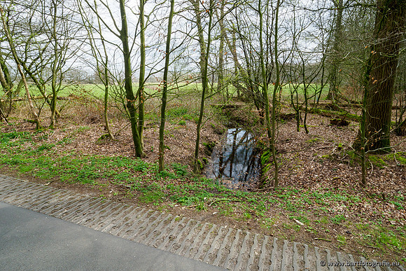 Beken rondom Elspeet 310320-307