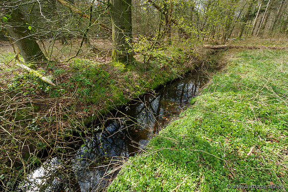 Beken rondom Elspeet 310320-305