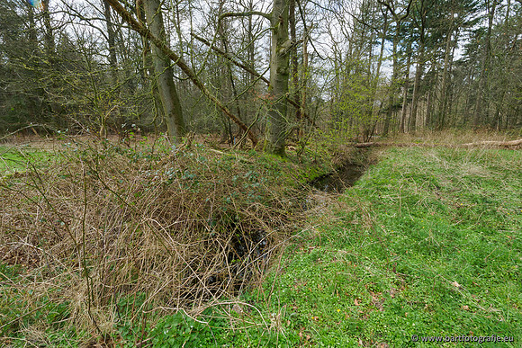 Beken rondom Elspeet 310320-304