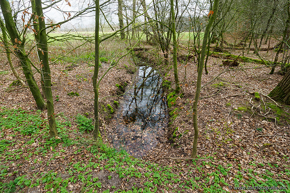 Beken rondom Elspeet 310320-306