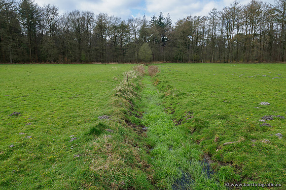 Beken rondom Elspeet 310320-302