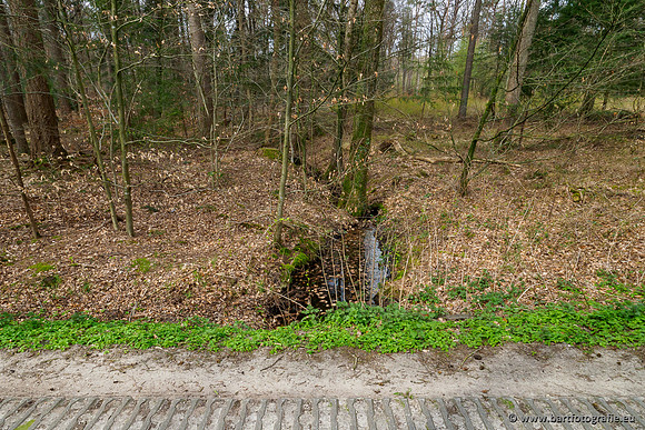 Beken rondom Elspeet 310320-308
