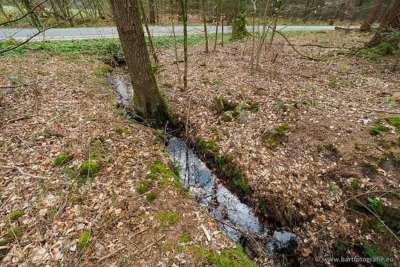 Beken rondom Elspeet 310320-310