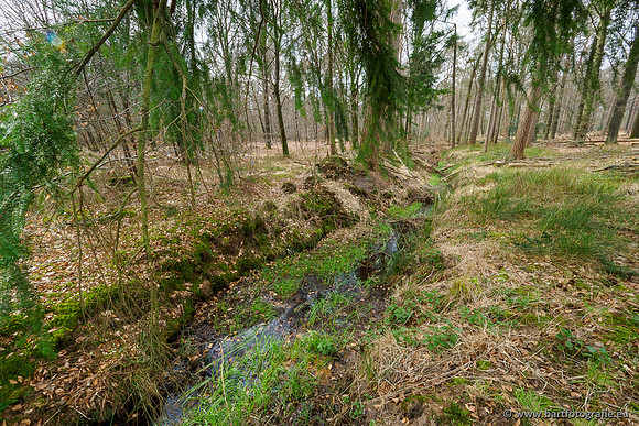 Beken rondom Elspeet 310320-312