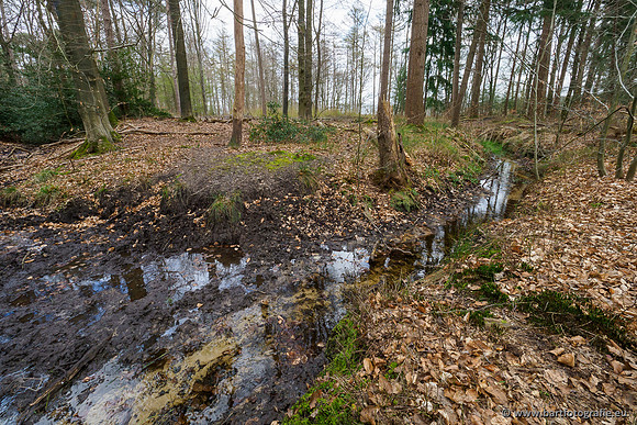 Beken rondom Elspeet 310320-314