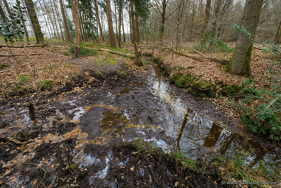 Beken rondom Elspeet 310320-315