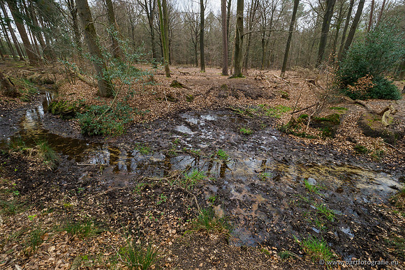 Beken rondom Elspeet 310320-316