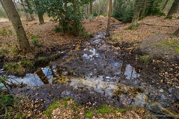 Beken rondom Elspeet 310320-318
