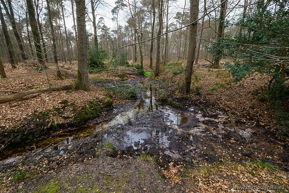 Beken rondom Elspeet 310320-320