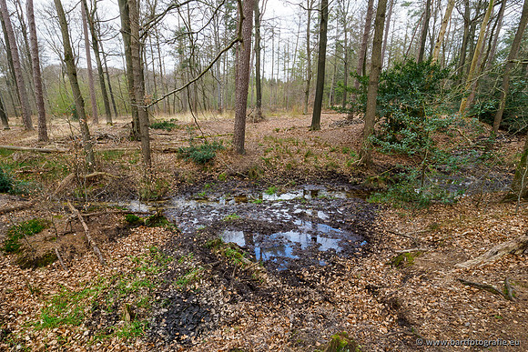 Beken rondom Elspeet 310320-321
