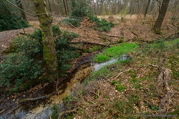 Beken rondom Elspeet 310320-322