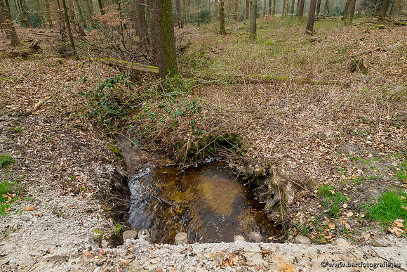 Beken rondom Elspeet 310320-327