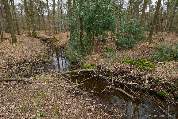 Beken rondom Elspeet 310320-329