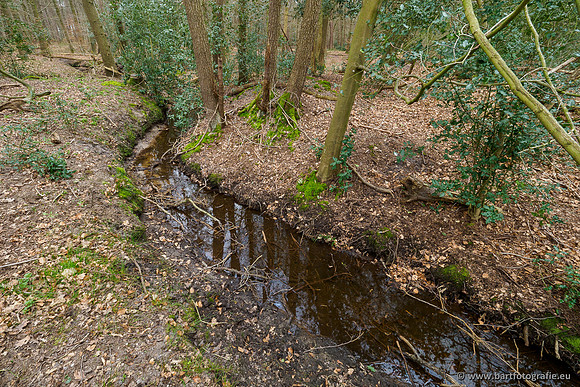 Beken rondom Elspeet 310320-331