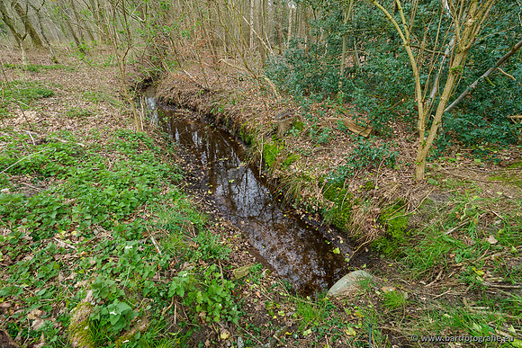 Beken rondom Elspeet 310320-335