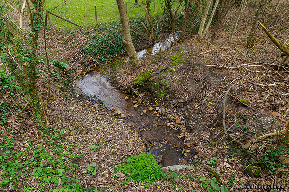 Beken rondom Elspeet 310320-337