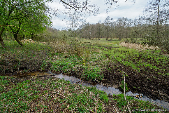 Beken rondom Elspeet 310320-340