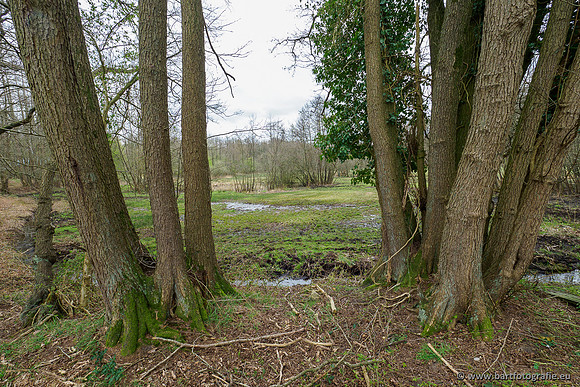 Beken rondom Elspeet 310320-345