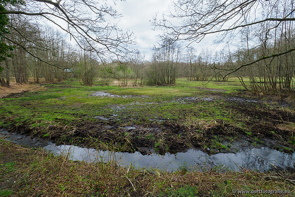 Beken rondom Elspeet 310320-346