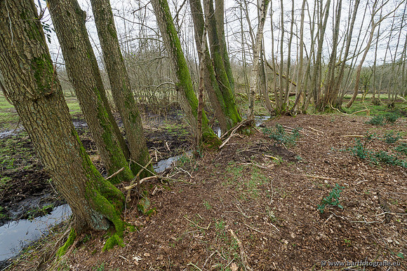 Beken rondom Elspeet 310320-347