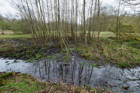 Beken rondom Elspeet 310320-348