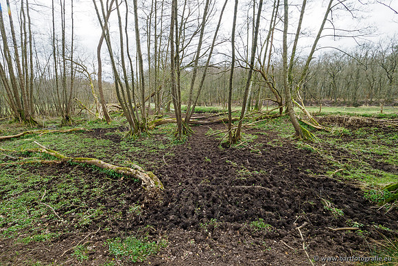 Beken rondom Elspeet 310320-351