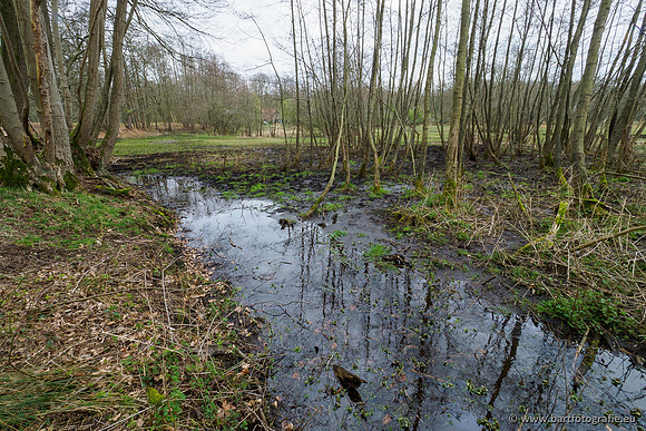 Beken rondom Elspeet 310320-353