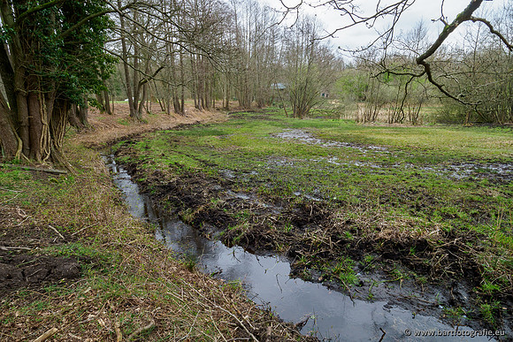 Beken rondom Elspeet 310320-355