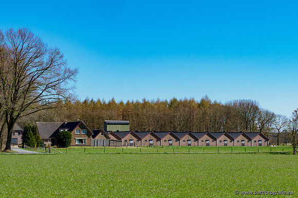 Beken rondom Elspeet 310320-391