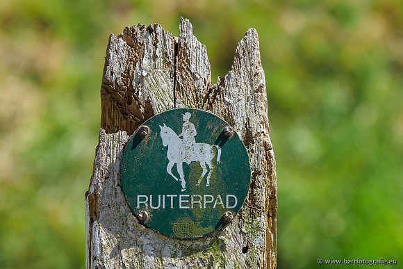 Beken rondom Elspeet 310320-399