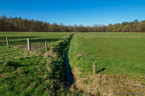 Beken rondom Elspeet 310320-030