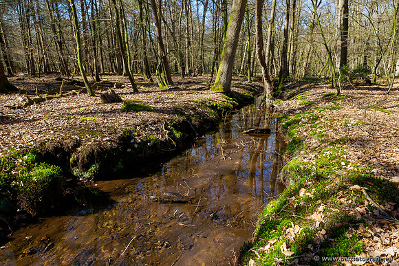 Beken rondom Elspeet 310320-076