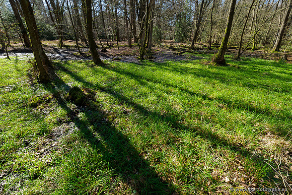 Beken rondom Elspeet 310320-083