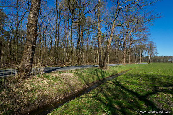 Beken rondom Elspeet 310320-208