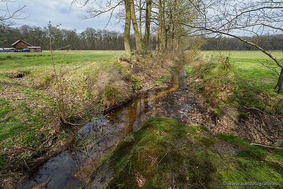 Beken rondom Elspeet 310320-245
