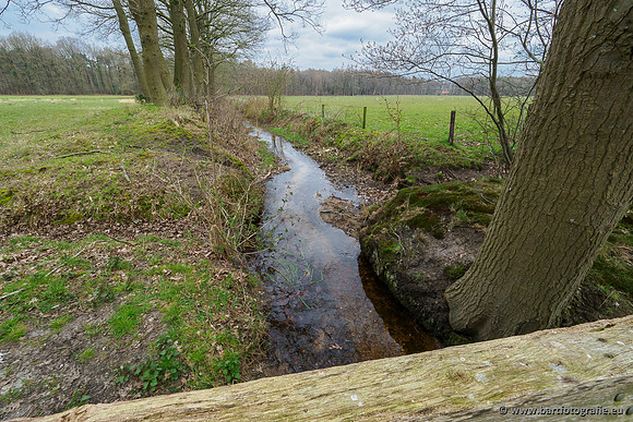 Beken rondom Elspeet 310320-246