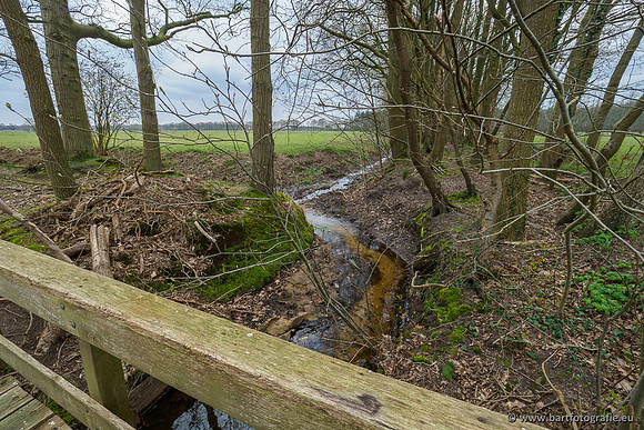 Beken rondom Elspeet 310320-248