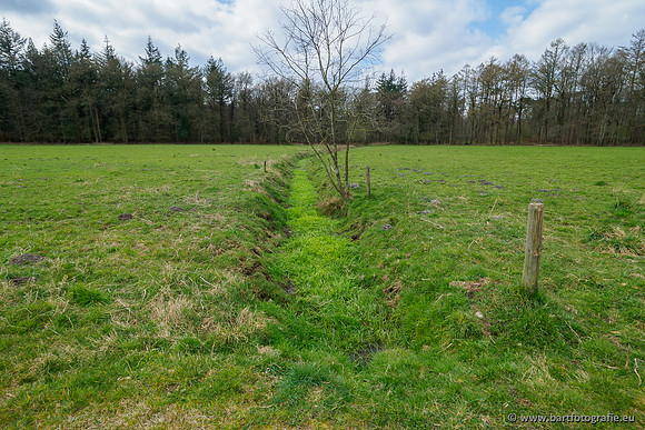 Beken rondom Elspeet 310320-301