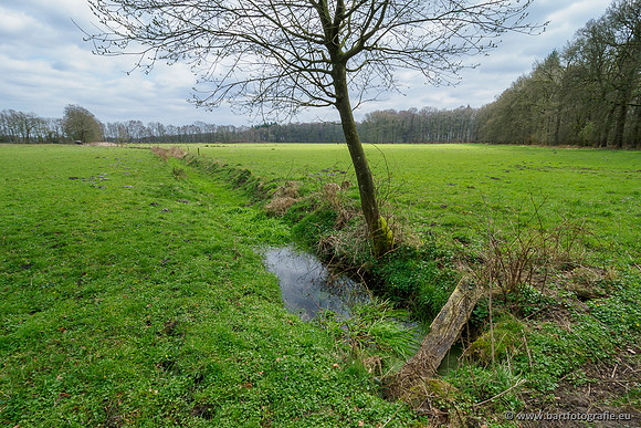 Beken rondom Elspeet 310320-303
