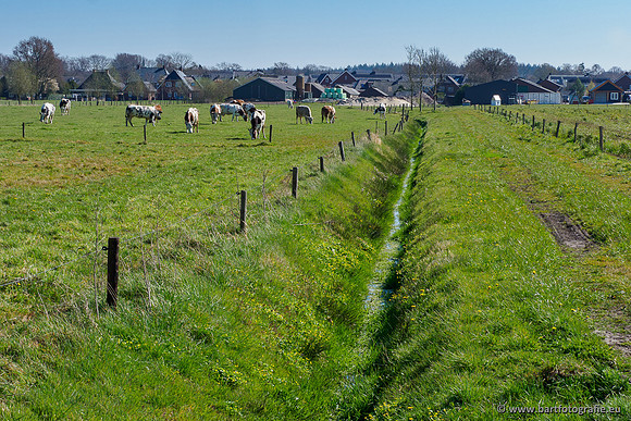 Bekenstelsel rondom Elspeet 060420-008