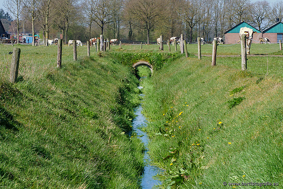 Bekenstelsel rondom Elspeet 060420-010