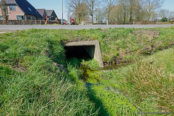 Bekenstelsel rondom Elspeet 060420-014
